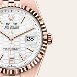 rolex  Land-Dweller 40 Oyster, 40 mm, Everose gold M127335-0001