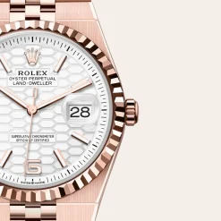 rolex  Land-Dweller 36 Oyster, 36 mm, Everose gold M127235-0001