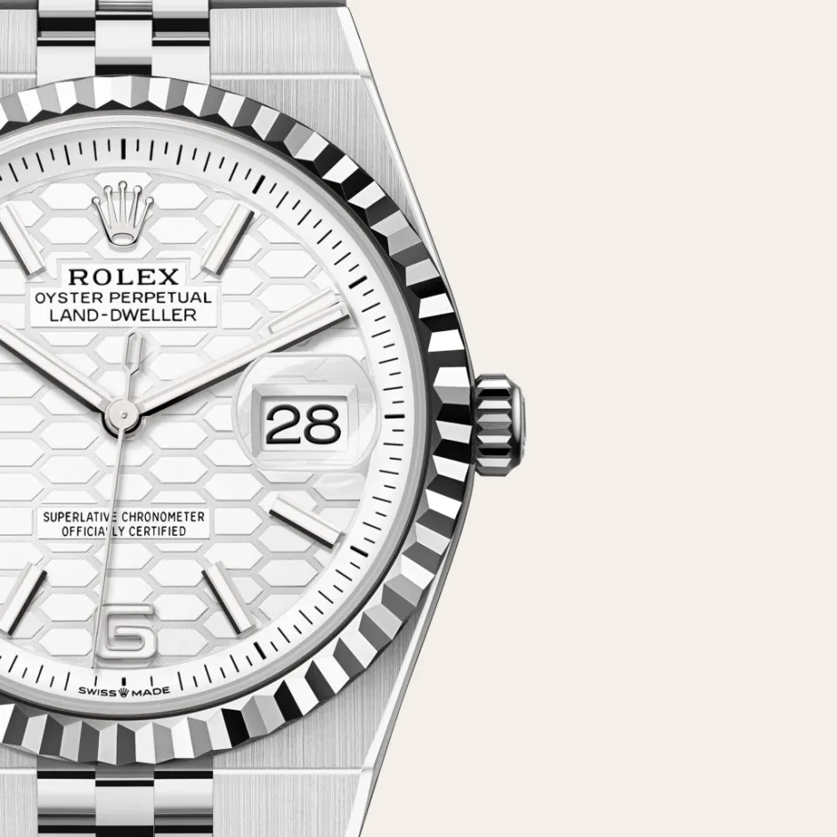 rolex Land-Dweller 36 Oyster, 36 mm, Oystersteel and white gold M127234-0001