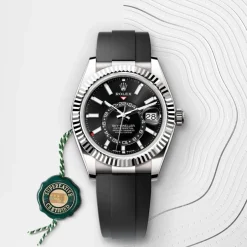 rolex Sky-Dweller Oyster, 42 mm, white gold M336239-0002
